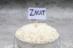 Mengenal Zakat Fitrah Lebih Dekat: Arti, Hukum, dan Manfaatnya